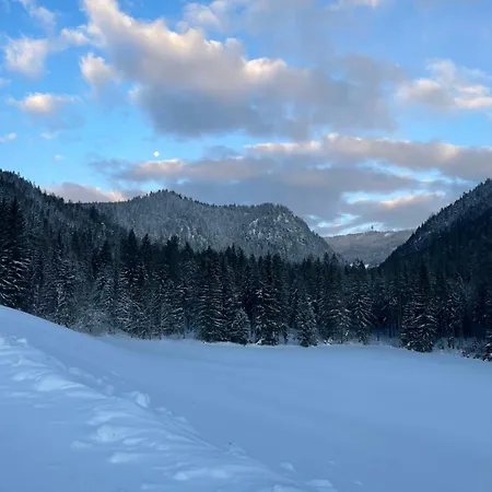 Gut Schablberg * Radstadt