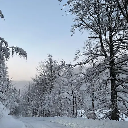 Nyaraló Gut Schablberg *
